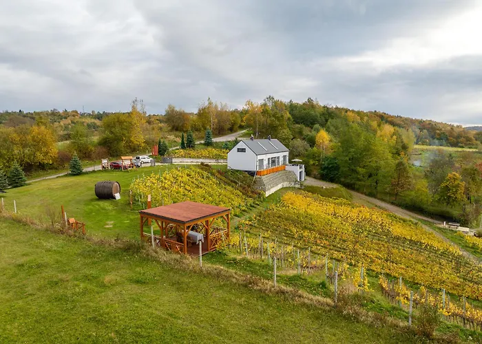 Apartament Dabrowka W Winiarni
