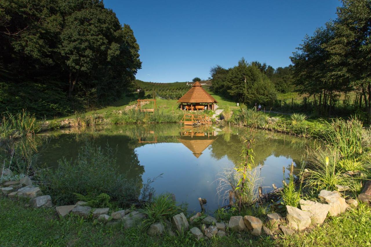 Dabrowka W Winiarni Holiday home *