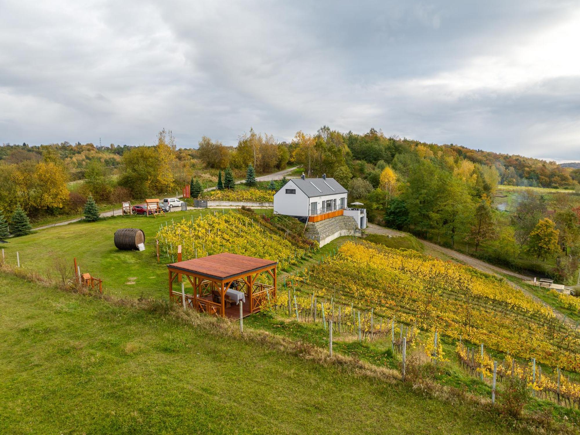 Dabrowka W Winiarni Holiday home Dabrowka Szczepanowska