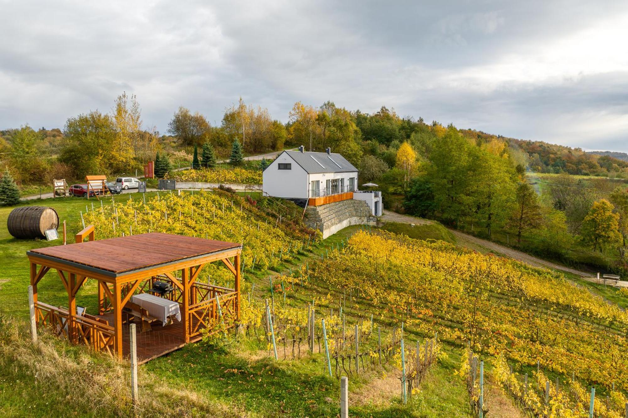 Dabrowka W Winiarni Holiday home